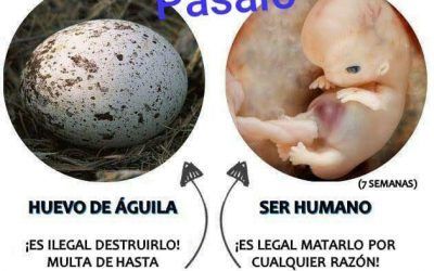 Aborto: degradación de la vida humana