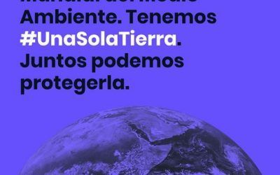 “Una sola Tierra”: Día Mundial del Medio Ambiente