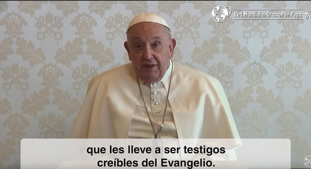 Por la formación de religiosas, religiosos y seminaristas – El Video del Papa 5 – Mayo 2024
