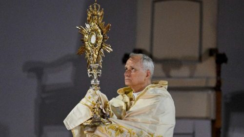 El papa León pide orar «por la convivencia común»